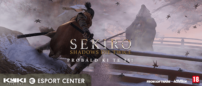 Sekiro: Shadows Die Twice launch parti