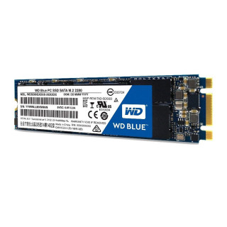 Western Digital Blue 500GB SSD (WDS500G1B0B) PC