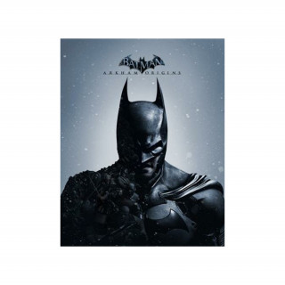 Batman: Arkham Origins (PC) Steam (Letölthető) PC