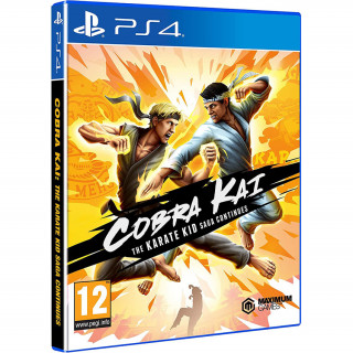 Cobra Kai: The Karate Kid Saga Continues PS4