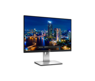 DELL U2415 24" PC