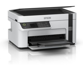 Epson M2120 A4 fekete-fehér háromfunkciós PC