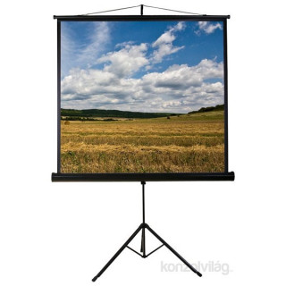 PROJ-SCR Funscreen Tripod vetítővászon (240x240cm) PC