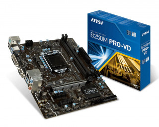 MSI 1151 B250M Pro-VD (7A74-002R) PC