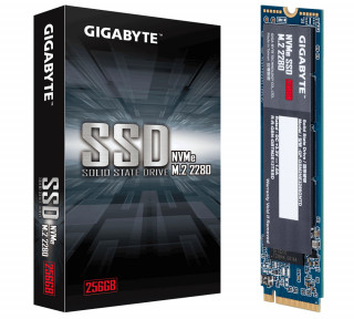 Gigabyte 256GB M.2 2280 NVMe GP-GSM2NE3256GNTD PC