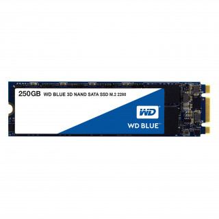 WD Blue 3D NAND 250GB [M.2/2280] PC