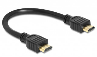 DeLock Cable High Speed HDMI with Ethernet – HDMI A male > HDMI A male 4K 25cm PC