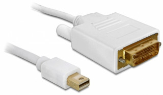 DeLock Cable mini Displayport male to DVI 24+1 male 2m PC