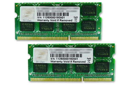G.SKILL Standard SO-DIMM DDR3 1600MHz CL10 RAM 8GB PC