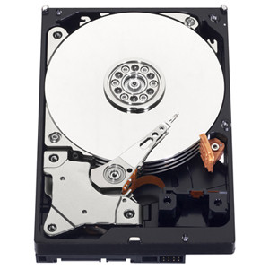 Western Digital Blue 5TB 3.5" SATA3 5400RPM 64MB (WD50EZRZ) PC