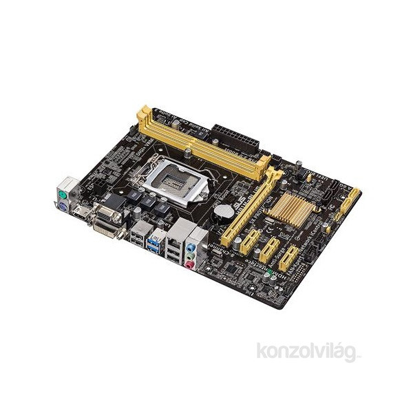 ASUS H81M-PLUS Intel H81 LGA1150 mATX alaplap PC